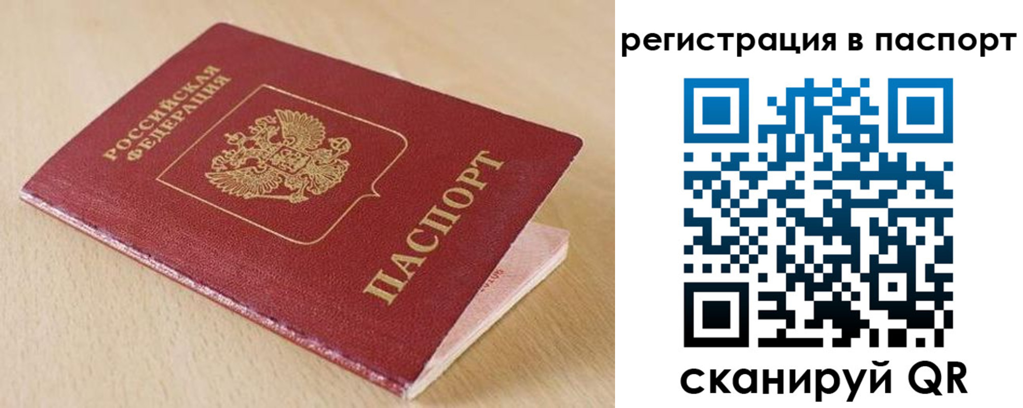 прописка поиск в Солнечногорске