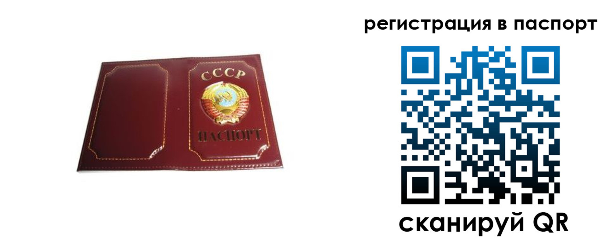 прописка 2025 в Солнечногорске